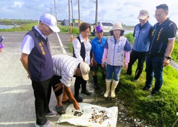 彰化文蛤出現豪雨遲發性災損 王惠美現勘爭取中央災害現金救助
