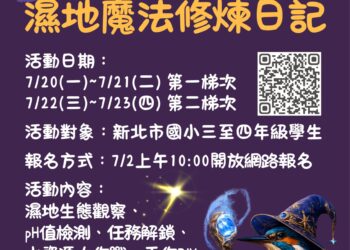 化身濕地小魔法師  新北漳和濕地暑期體驗營帶領學童探索自然生態奧妙