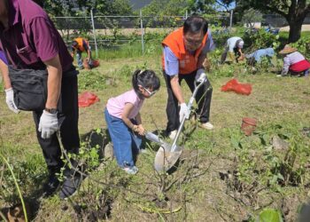 竹東河濱公園再添新亮點 公所攜手產銷班種下800株麝香木