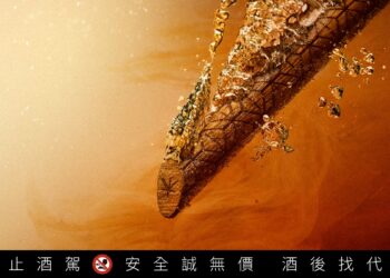 首支有「芯」機的酒!百年橡木入瓶「粱芯」金高創新木質風味高粱