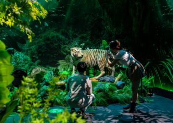 《動物王國大探險展》登場 走進六大生態、穿越史前世界