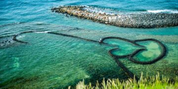 告別轉機!台東直飛澎湖9月限定啟航 限量4架次3日跳島遊手刀搶