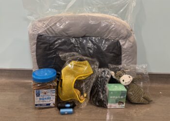 外型神似史酷比與小逗 板橋動物之家成犬路克等待溫暖家庭認養