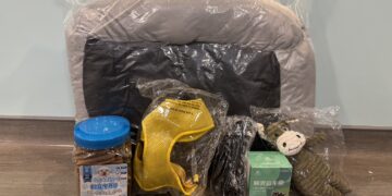 外型神似史酷比與小逗 板橋動物之家成犬路克等待溫暖家庭認養