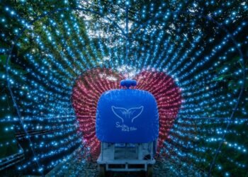 新北「深澳鐵道自行車」燦爛夏夜山海騎　7月1日啟程打造9大星光燈區