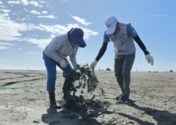 海陸齊心守護嘉義海岸 環保局動員清除33.1噸海洋廢棄物