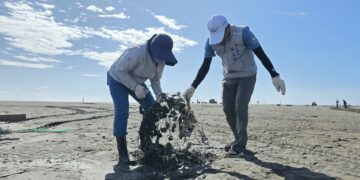 海陸齊心守護嘉義海岸　環保局動員清除33.1噸海洋廢棄物