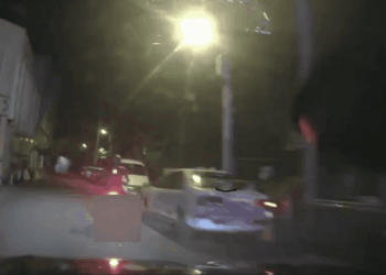 禮讓蝴蝶不慎發生擦撞 恆警呼籲駕駛注意周遭情況