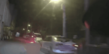 禮讓蝴蝶不慎發生擦撞 恆警呼籲駕駛注意周遭情況