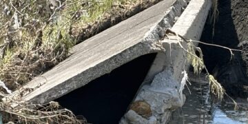 興化部五年三潰堤 縣府水利處發新聞稿洗地 蘇清泉:不要噴政治口水 鄉親只要不再淹水