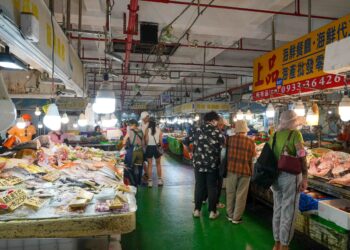 暑假玩布袋 海洋生態、手作DIY樂趣多