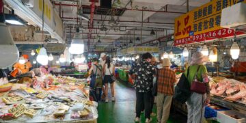 暑假玩布袋 海洋生態、手作DIY樂趣多