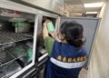 屏東持續追查問題油品及產品 要求全面下架