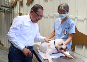 全國首座動物長照園區於新北中和啟用 提供高齡與身心障礙毛寶貝完善照護環境