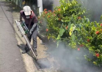 越南返國母女確診登革熱就醫 隱匿旅遊史遭衛生局依傳染病防治法裁罰萬元
