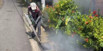 越南返國母女確診登革熱就醫   隱匿旅遊史遭衛生局依傳染病防治法裁罰萬元