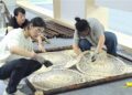 兩岸學子福州以設計會友 「共棲‧交疊」展現文化共鳴