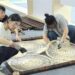 兩岸學子福州以設計會友 「共棲‧交疊」展現文化共鳴