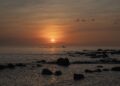 北觀處「2026島嶼生活節」解鎖和平島日出美學與跨文化音樂