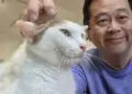 《尼古喵喵》遭禁掀創作自由爭議　左楠區議員參選人薛兆基：同婚都能接受了，難道動畫抽菸就得下架？