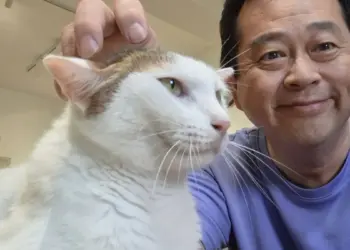 《尼古喵喵》遭禁掀創作自由爭議　左楠區議員參選人薛兆基：同婚都能接受了，難道動畫抽菸就得下架？