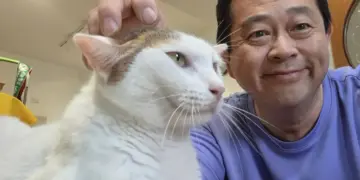 《尼古喵喵》遭禁掀創作自由爭議　左楠區議員參選人薛兆基：同婚都能接受了，難道動畫抽菸就得下架？