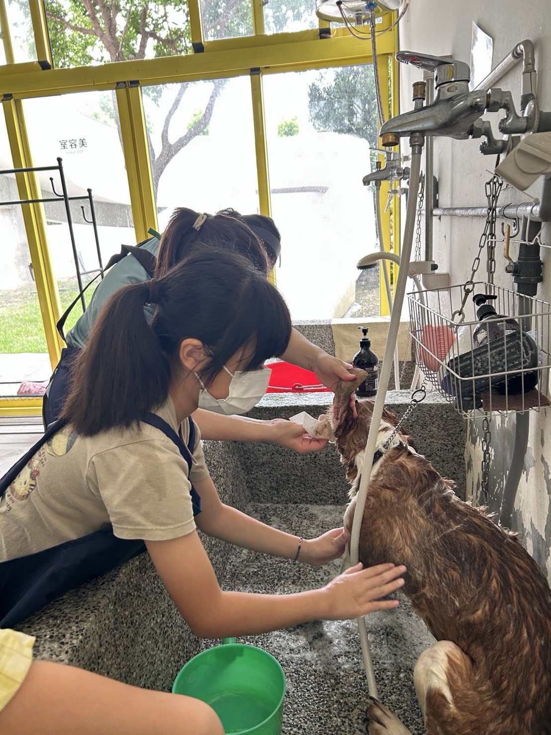 4 幫送養犬隻洗香香