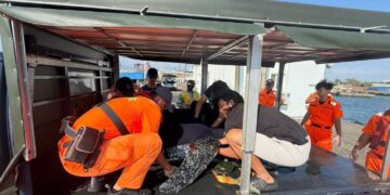 漁船誤捕瀕絕革龜　海巡海保緊急救援