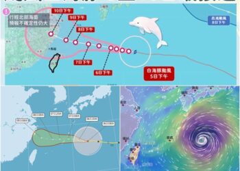 影音/20260806白海豚持續接近 估這期間通過臺灣北方海面