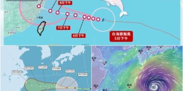 影音/20260806白海豚持續接近 估這期間通過臺灣北方海面