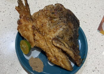 爭鮮鮭魚季新品創意命名吸睛 網友熱議餐點名稱與獨特料理方式