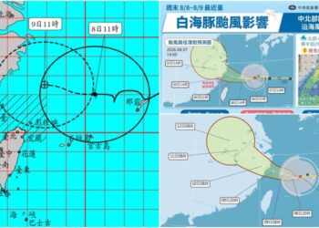 影音/父親節白海豚來攪局 外圍環流帶來影響