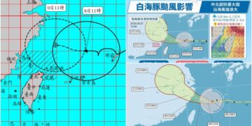 影音/父親節白海豚來攪局 外圍環流帶來影響