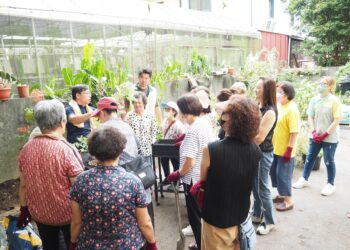 培力農村種籽　讓園藝療育成為高齡照顧的力量
