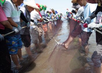 漫遊桃園海岸線!「海客小旅行」登場 三大主題路線帶你探索海洋客庄文化