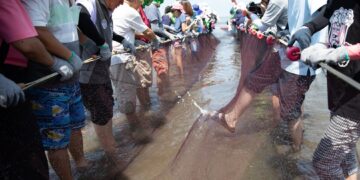 漫遊桃園海岸線！「海客小旅行」登場 三大主題路線帶你探索海洋客庄文化