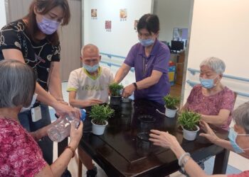 巧手植綠療癒身心 榮家長輩DIY羅漢松水耕盆栽樂享園藝時光