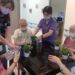 巧手植綠療癒身心 榮家長輩DIY羅漢松水耕盆栽樂享園藝時光