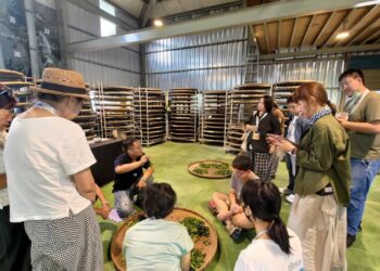 2026客家悅讀節 茶香山風拂客庄! 帶民眾深度體驗「六龜、美濃-臺灣茶之路」