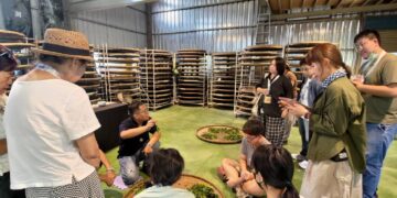 2026客家悅讀節 茶香山風拂客庄! 帶民眾深度體驗「六龜、美濃-臺灣茶之路」