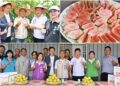 正宗吃軟不吃硬　員山紅心芭樂飄香上市
