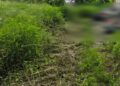 高齡義務人無照拒測遭罰鍰  家屬為保土地一次繳清欠款