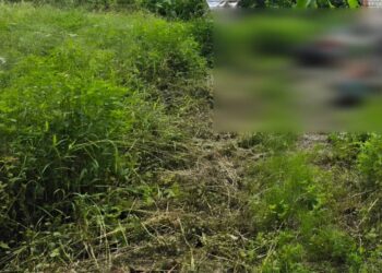 高齡義務人無照拒測遭罰鍰  家屬為保土地一次繳清欠款