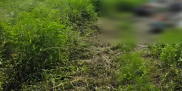 高齡義務人無照拒測遭罰鍰  家屬為保土地一次繳清欠款