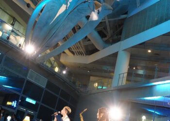 當爵士遇見海洋　海生館巨鯨下展開樂聲與書海沉浸之旅 爵士×雙語×閱讀×標本　交織一場別具風情的海洋學習風景