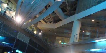 當爵士遇見海洋　海生館巨鯨下展開樂聲與書海沉浸之旅 爵士×雙語×閱讀×標本　交織一場別具風情的海洋學習風景