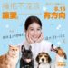 屏東縣漂亮寶貝議員許馨勻 : 國際流浪動物節 領養代替購買