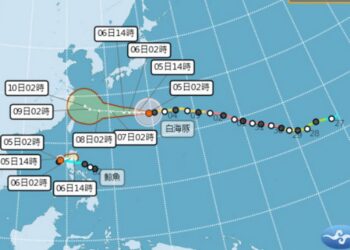 影音/20260805白海豚還在游 鯨魚又生成