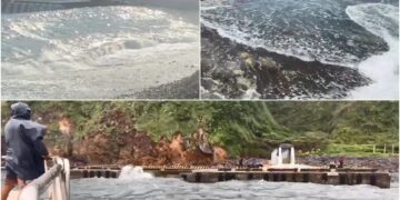 影音/白海豚外圍環流接近 龜山島8/6起封島4天