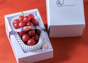 最接近寶石的果實化身精品甜點 JR東日本大飯店「浪漫紅寶石」演繹日本石川縣夢幻逸品